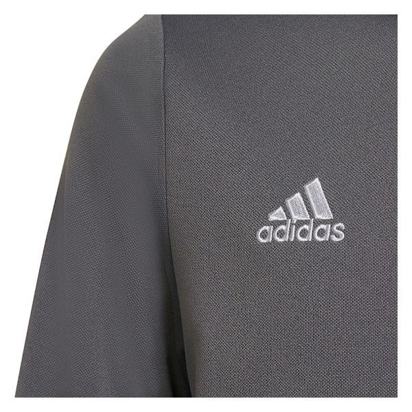 Sweatshirts Adidas Entrada 22 Track Gråa 159 - 164 cm/L