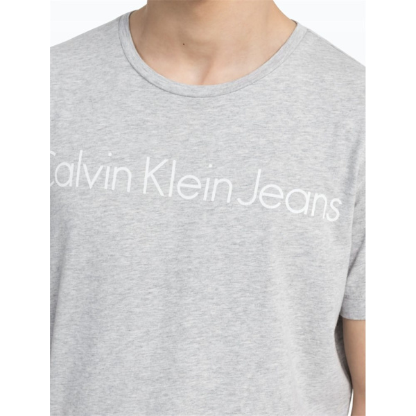 T-shirts Calvin Klein ZM0ZM01316CHW Grå 178 - 180 cm/S