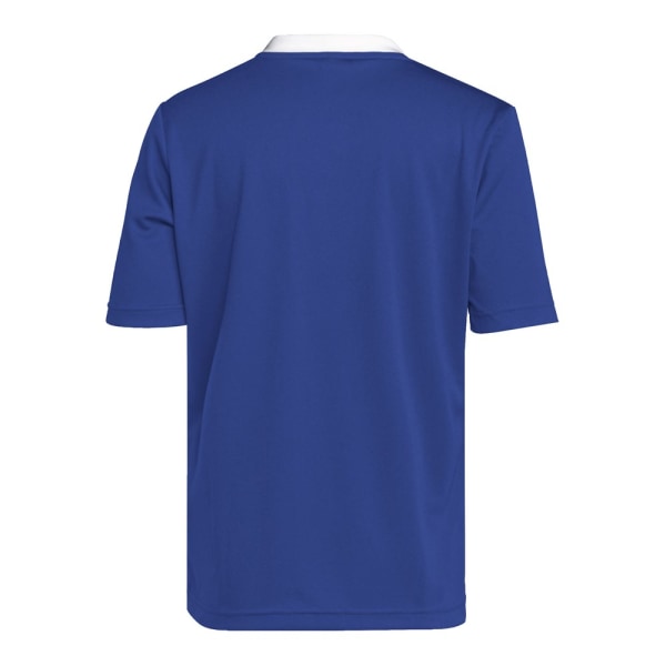 Shirts Adidas Entrada 22 Blå 159 - 164 cm/L