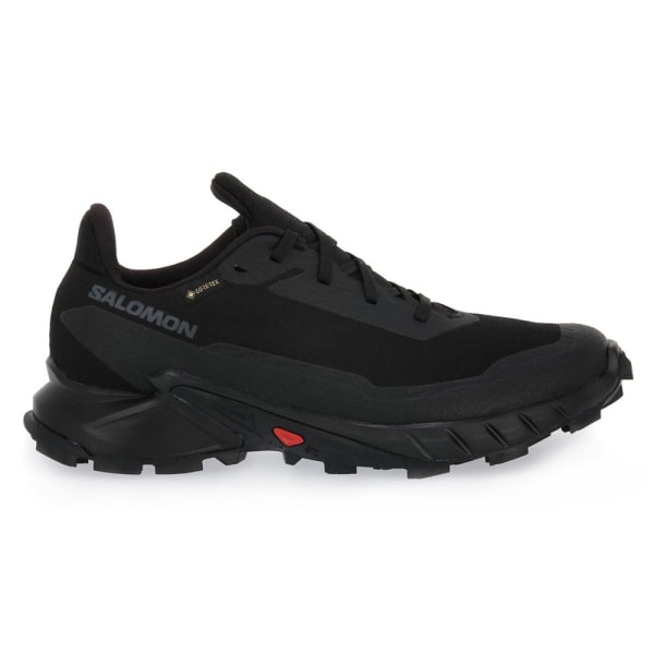 Lågskor Salomon Alphacross 5 Gtx W Svarta 40