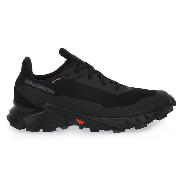 Puolikengät Salomon Alphacross 5 Gtx W Mustat 39 1/3