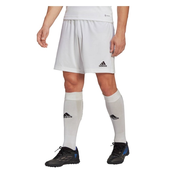 Bukser Adidas Entrada 22 Hvid 194 - 199 cm/3XL