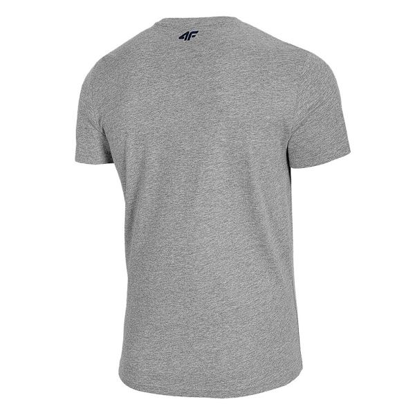 T-shirts 4F TSM015 Grå 182 - 185 cm/XL
