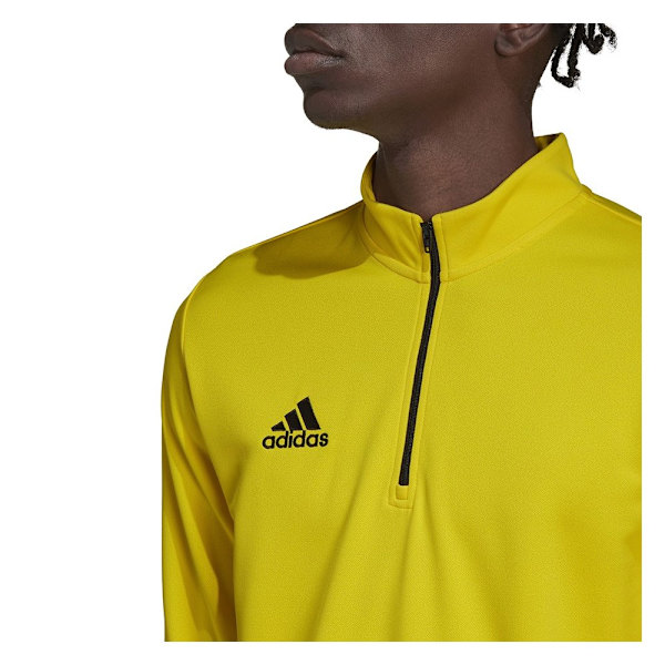 Sweatshirts Adidas Entrada 22 Training Gul 164 - 169 cm/S