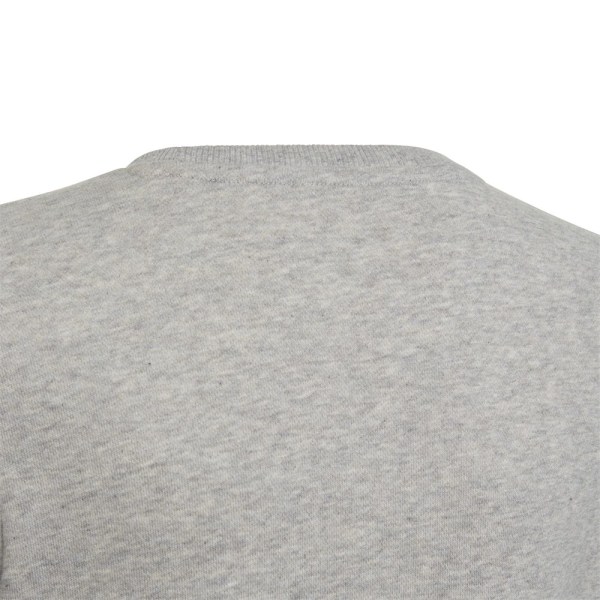 Sweatshirts Adidas Linear Grå 159 - 164 cm/L