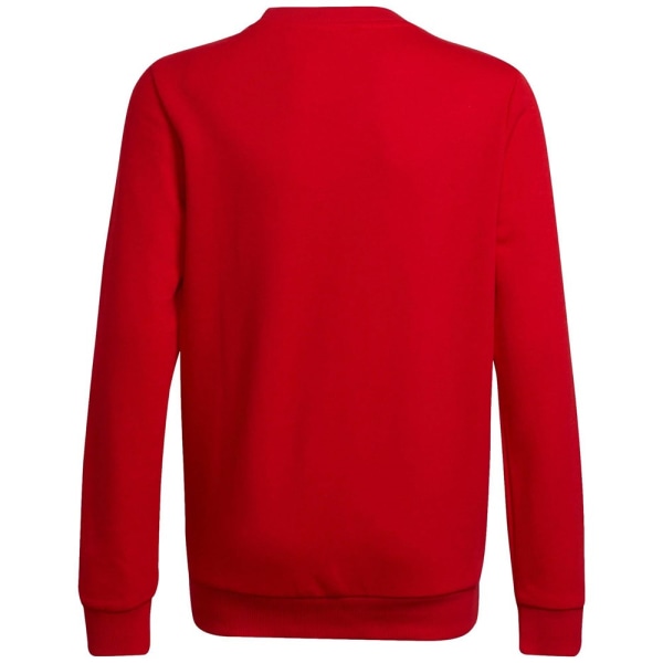 Sweatshirts Adidas HE9286 Rød 159 - 164 cm/L