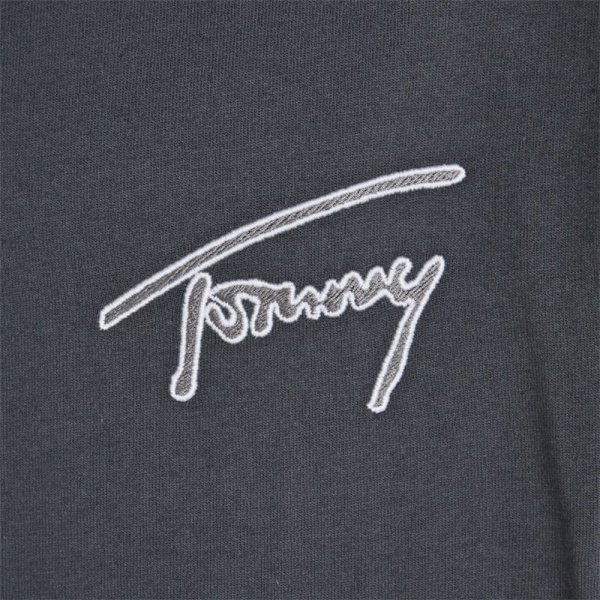 T-paidat Tommy Hilfiger DM0DM16240PUB Grafiitin väriset 174 - 178 cm/M