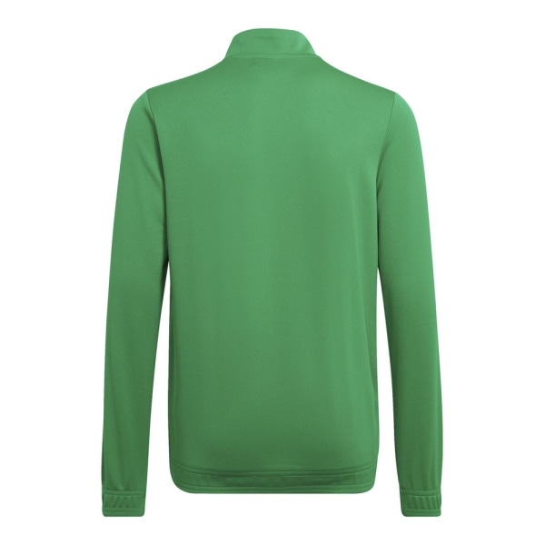 Sweatshirts Adidas Entrada 22 Grøn 135 - 140 cm/S