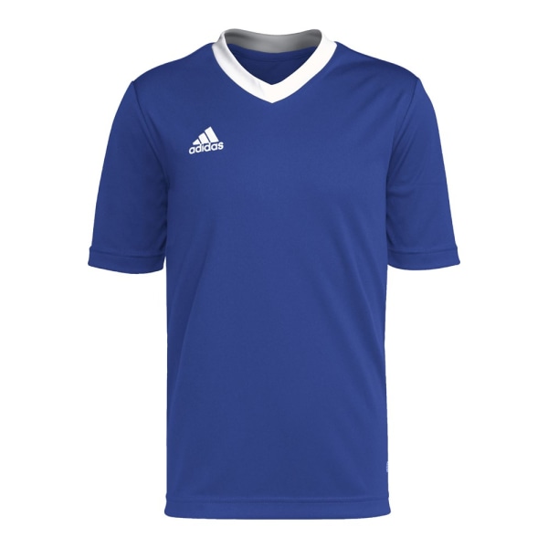 T-shirts Adidas Entrada 22 Blå 159 - 164 cm/L