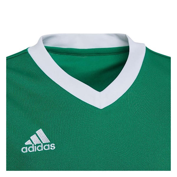T-shirts Adidas Entrada 22 Grøn 159 - 164 cm/L