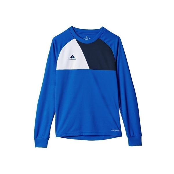 Sweatshirts Adidas Assita 17 JR Blå 110 - 116 cm/XXS