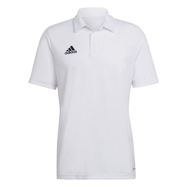 T-paidat Adidas Entrada 22 Valkoiset 188 - 193 cm/XXL