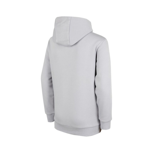 Sweatshirts 4F JBLD003 Grå 140 - 145 cm