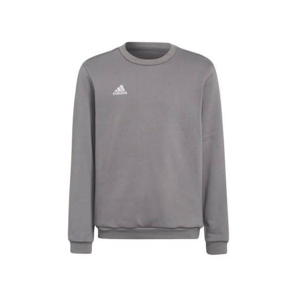 Sweatshirts Adidas Entrada 22 Gråa 110 - 116 cm/XXS