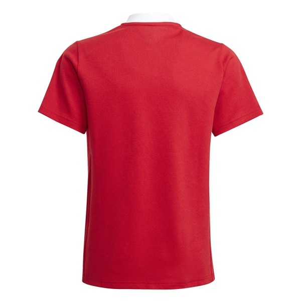 T-shirts Adidas Tiro 21 Polo Rød 135 - 140 cm/S