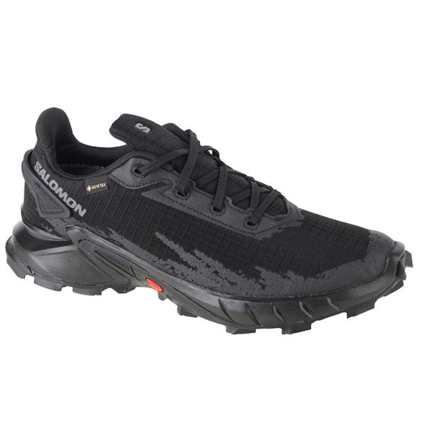 Lågskor Salomon Alphacross 4 Gtx Svarta 46