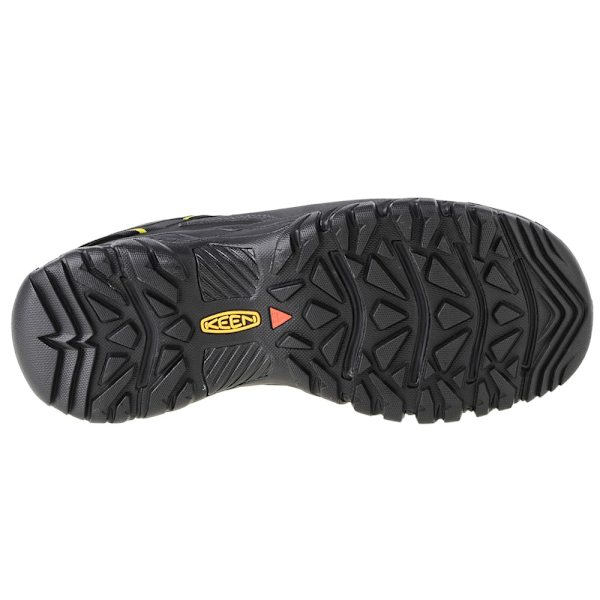 Sko Keen Targhee Iii Mid WP Brun 46
