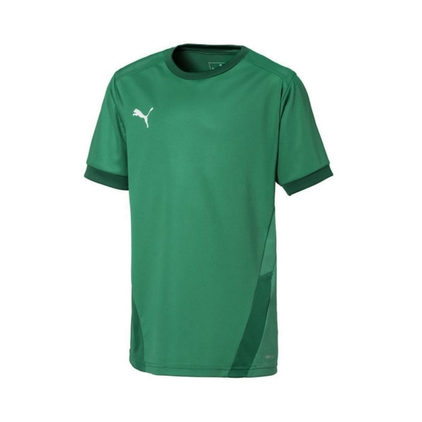 Shirts Puma Teamgoal 23 Jersey Gröna 140 - 152 cm/M