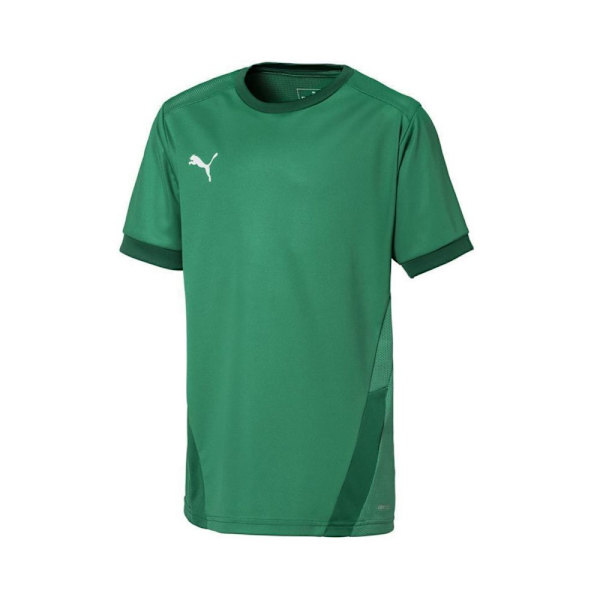 Shirts Puma Teamgoal 23 Jersey Gröna 164 - 176 cm/XL