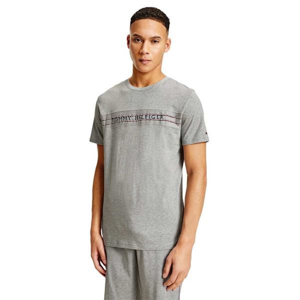 T-paidat Tommy Hilfiger UM0UM02422P61 Harmaat 174 - 178 cm/M