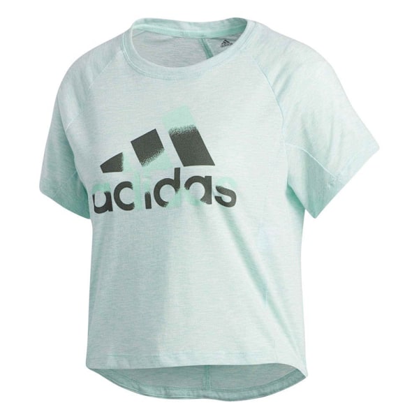 T-shirts Adidas Boxy Badge OF Sport Grøn 170 - 175 cm/L