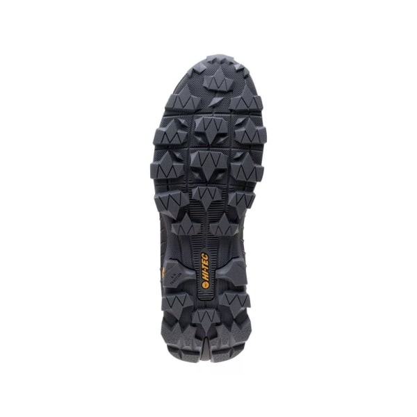 Sko Hi-Tec Rainier Hiker M Sort,Honning 46