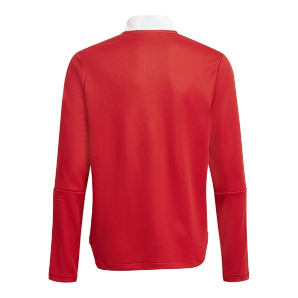 Sweatshirts Adidas Tiro 21 Rød 110 - 116 cm/XXS