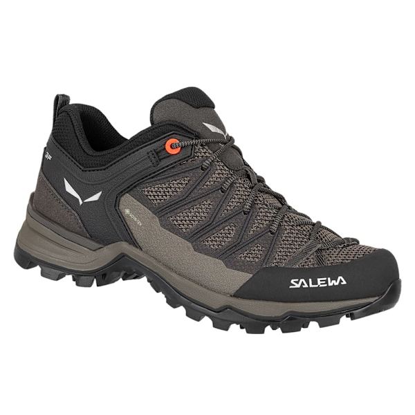 Puolikengät Salewa Mtn Trainer Lite Gtx Ruskeat 38