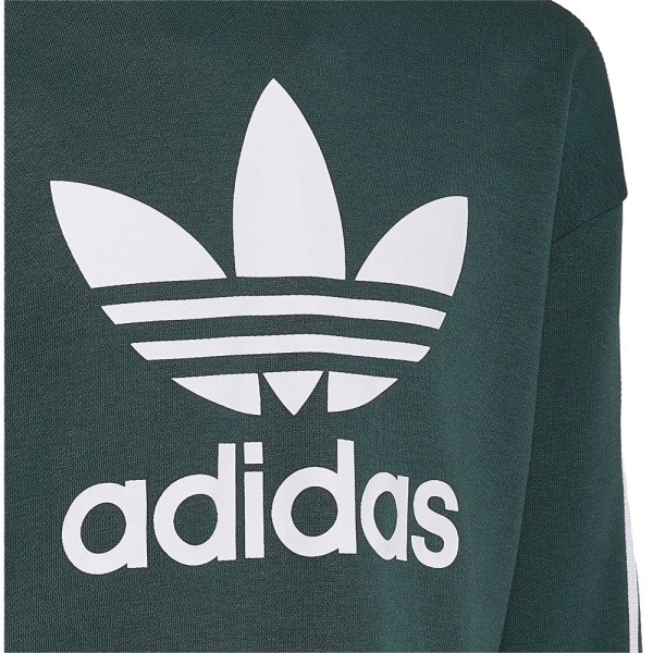 Sweatshirts Adidas HK0278 Gröna 153 - 158 cm/M