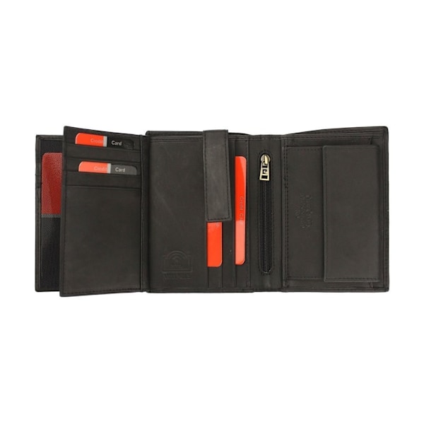 Tegnebøger Pierre Cardin ROVICKY120570 Sort