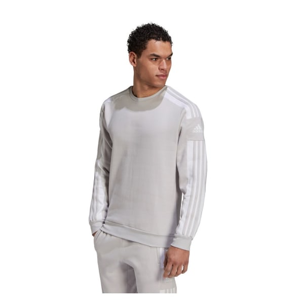 Sweatshirts Adidas Squadra 21 Grå 164 - 169 cm/S