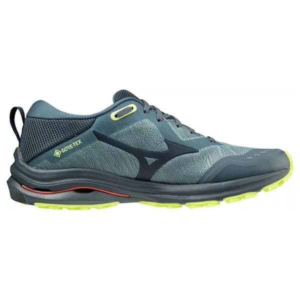 Lågskor Mizuno Wave Rider Gtx Gråa 42
