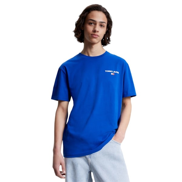 T-paidat Tommy Hilfiger DM0DM17712C66 Vaaleansiniset 179 - 183 cm/L