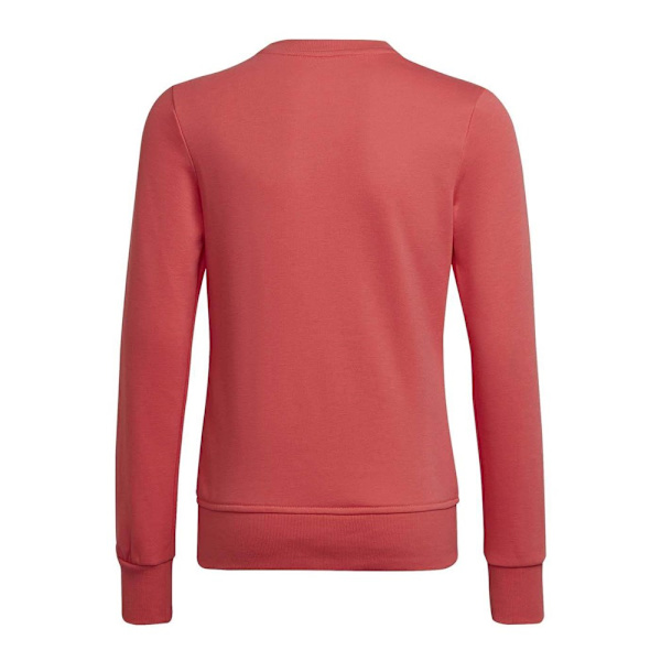 Sweatshirts Adidas HE1984 Rosa 147 - 152 cm/M