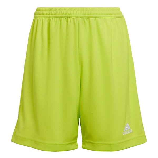 Bukser Adidas Entrada 22 Celadon 159 - 164 cm/L