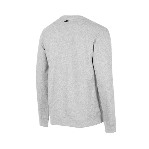 Puserot je Fleecet 4F BLM350 Harmaat 173 - 176 cm/S