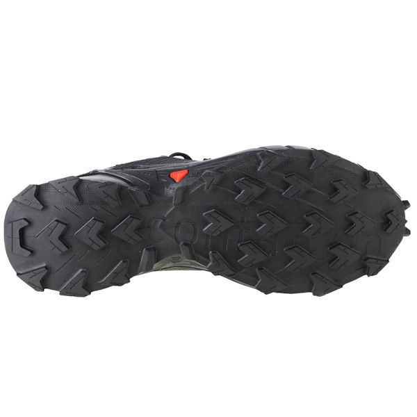 Lågskor Salomon Alphacross 4 Gtx Svarta 46