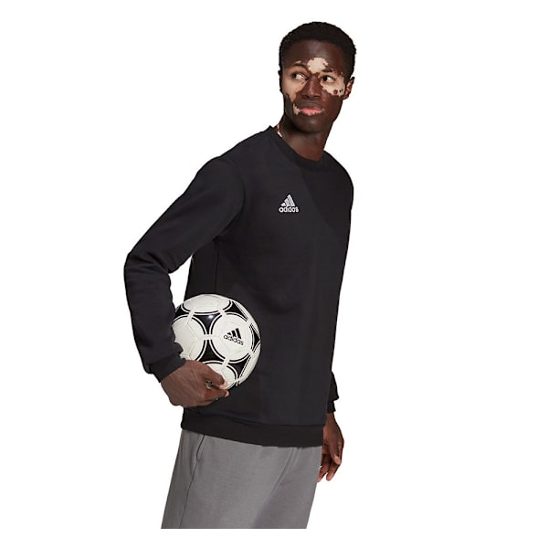 Sweatshirts Adidas Entrada 22 Sort 182 - 187 cm/XL
