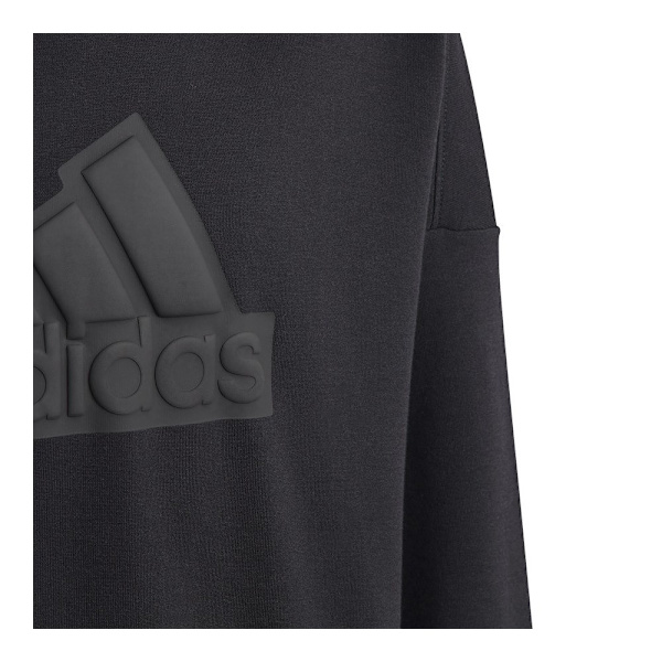 Sweatshirts Adidas HR6301 Sort 176 - 181 cm/L