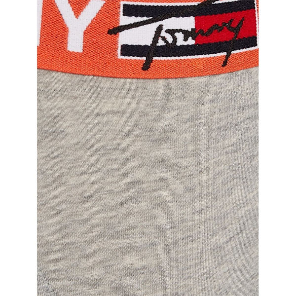 Majtki Tommy Hilfiger UW0UW02823P61 Harmaat S