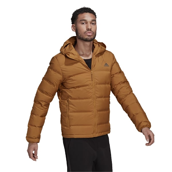 Jackor Adidas Helionic Down Hooded Honumg 182 - 187 cm/XL