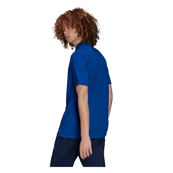 T-paidat Adidas Entrada 22 Vaaleansiniset 170 - 175 cm/M