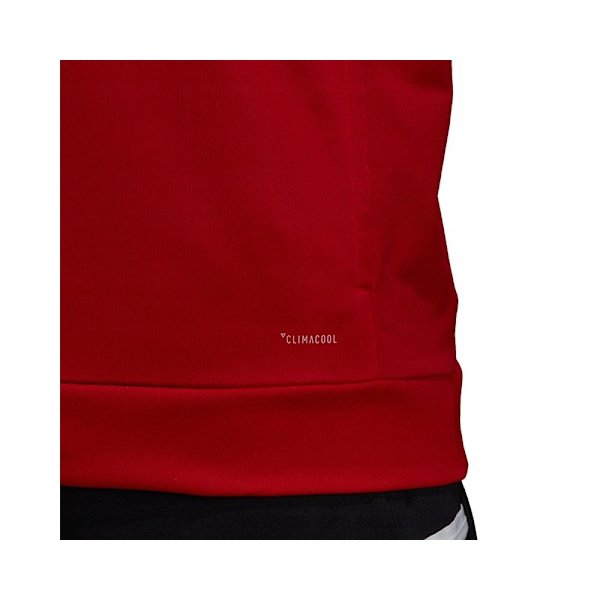 Sweatshirts Adidas Team 19 Hoody Rød 164 - 169 cm/S