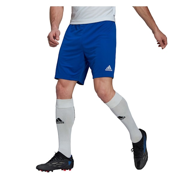 Housut Adidas Entrada 22 Vaaleansiniset 164 - 169 cm/S