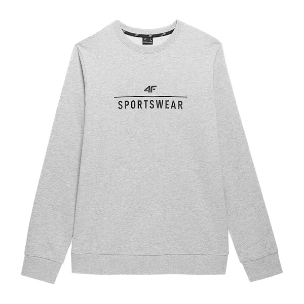 Sweatshirts 4F SWSM349 Grå 179 - 182 cm/L