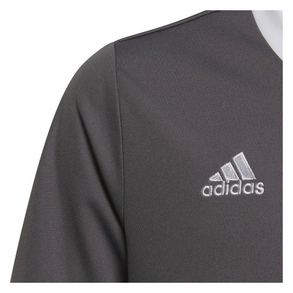 T-paidat Adidas Entrada 22 Jsy Harmaat 159 - 164 cm/L