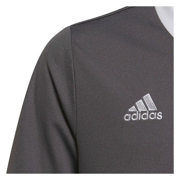 T-shirts Adidas Entrada 22 Jsy Grå 159 - 164 cm/L
