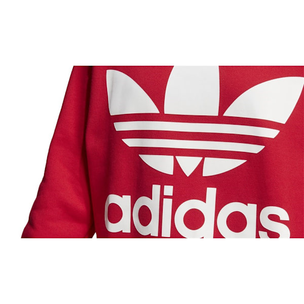 Sweatshirts Adidas Oversized Swea Röda 164 - 169 cm/M