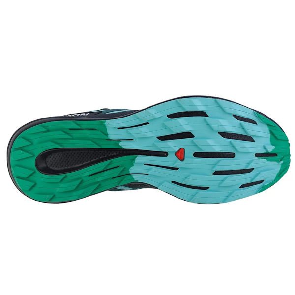 Lågskor Salomon Pulsar Trail Blå 45 1/3