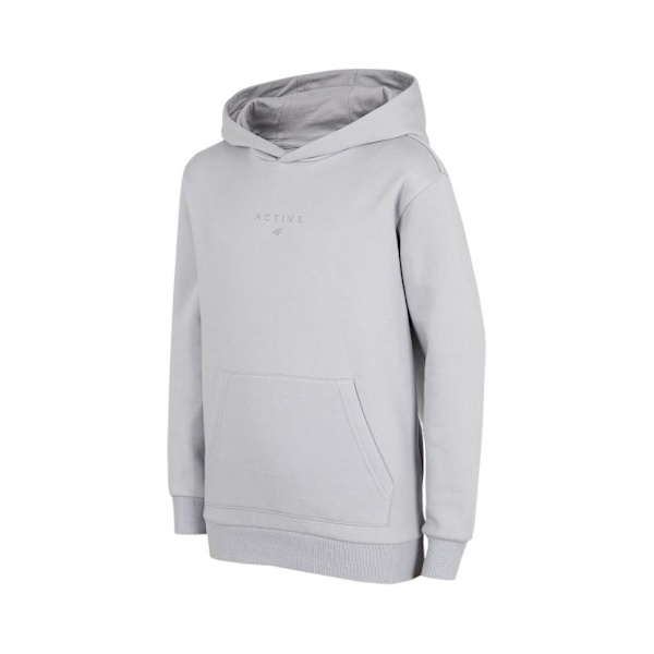 Sweatshirts 4F JBLD003 Grå 146 - 151 cm